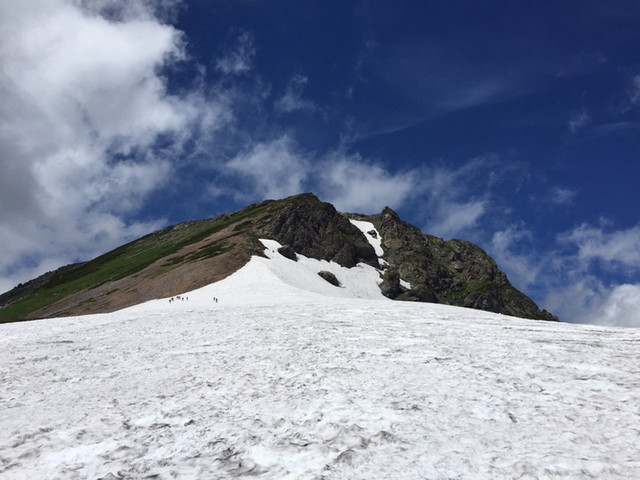 白馬岳登山 白馬大雪渓を経て頂上へ！ルート解説と夏に咲く高山植物・注意点まとめ - アンテナ白馬白馬村の魅力、伝えるサイト