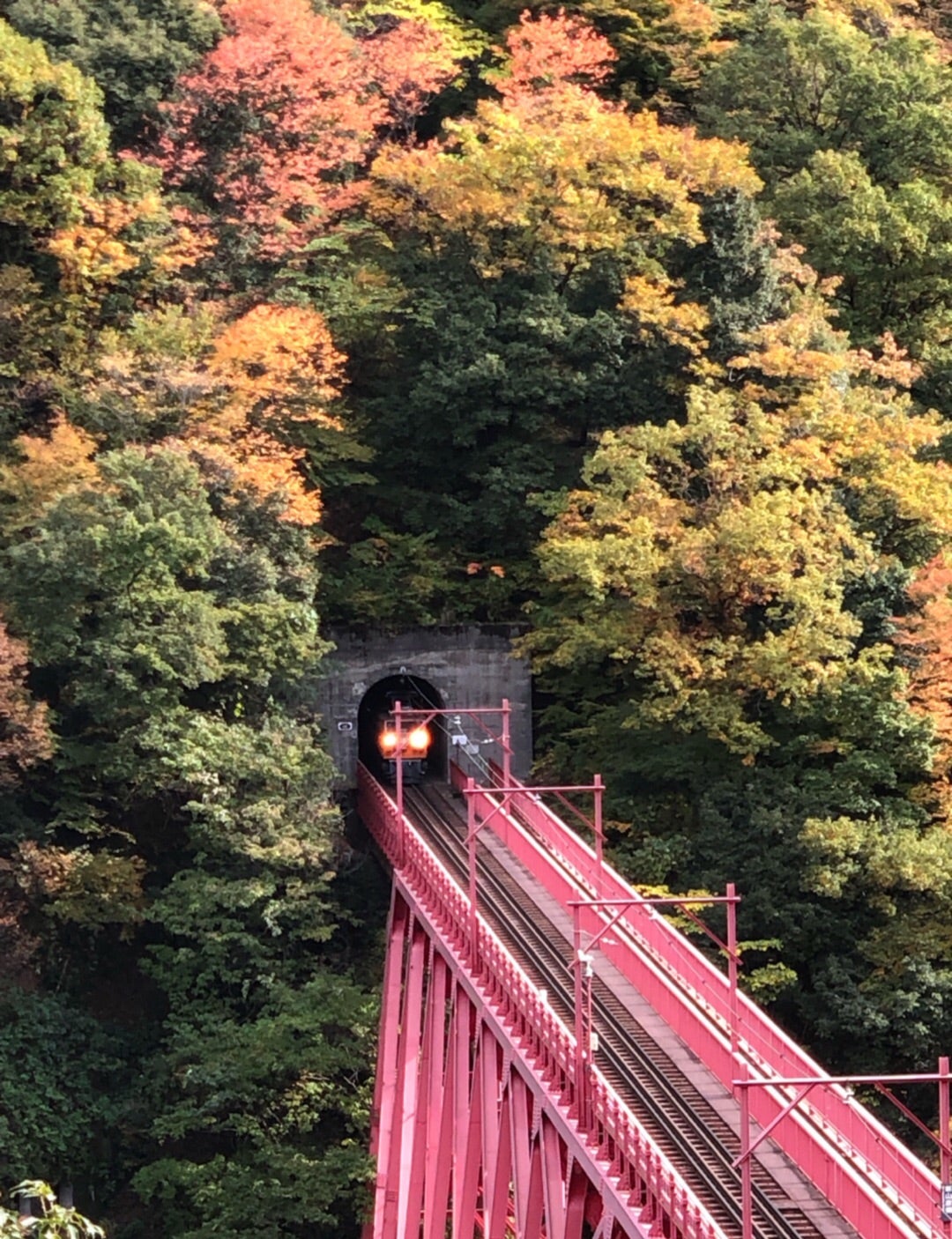 今日の一句, 富山黒部トロッコ列車にて, 紅葉