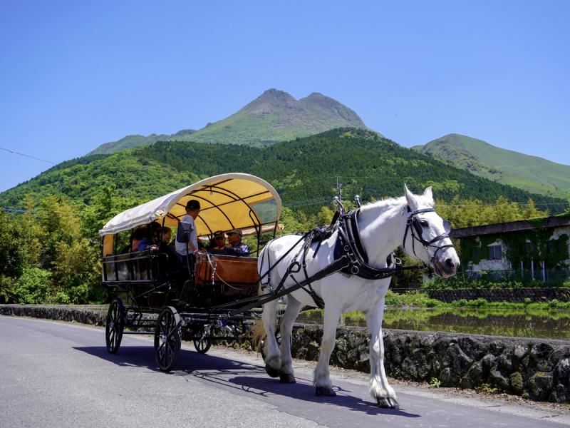 三菱電機×後藤ゼミによる産学連携！スマホアプリ「ekinote エキノート 」を活用した学生目線での地域情報発信に取り組んでいます。広島経済大学