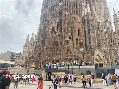 2025年 バルセロナ空港から市内へのアクセス完全ガイド！おすすめの移動手段を徹底解説おとな開運女子部