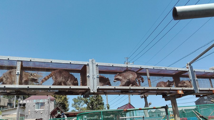 かみね公園の夜景茨城県日立市-こよなく夜景を愛する人へ