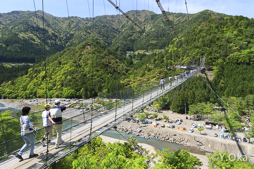 谷瀬の吊り橋に寄ってもらいました！！🌉 高さ54メートル、長さ297メートルの日本一の吊り橋です🪩 生活用道路なので、昔はガンガンにバイクも渡っていたそう！😳 眺め最高！！☺️