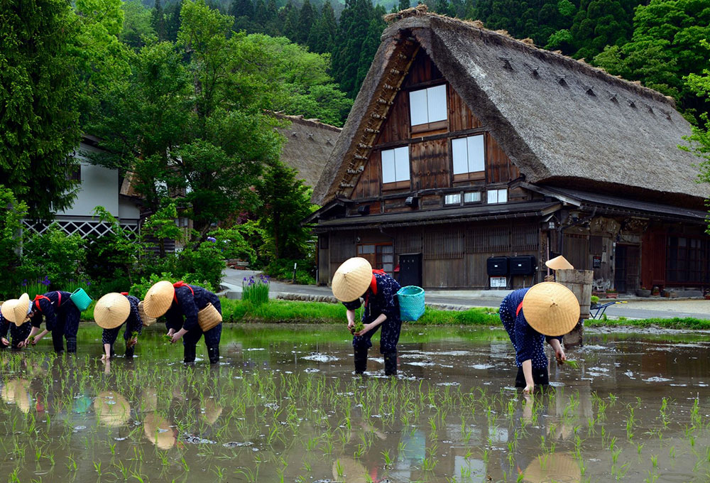 世界遺産 白川郷合掌造り集落観光スポット岐阜県観光公式サイト 「岐阜の旅ガイド」