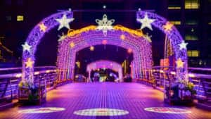 大連友好記念館 旧国際友好記念図書館 「生命と微量元素」講座＜荒川泰昭＞