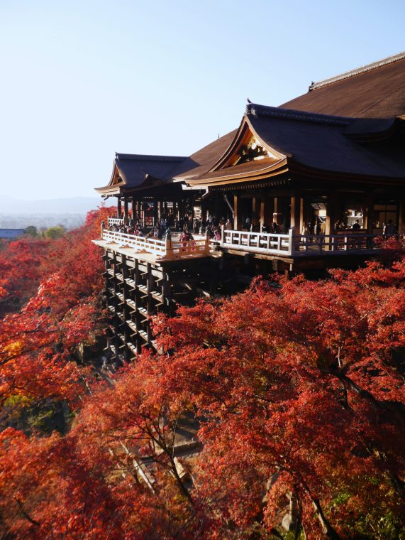 京都観光の大定番！ 世界遺産「清水寺」の拝観ガイドそうだ 京都、行こう