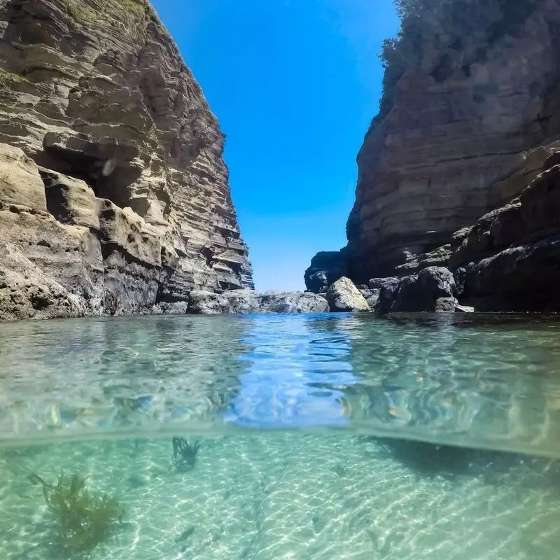 鵜原理想郷ハイキングコースは理想のコースきみたろう