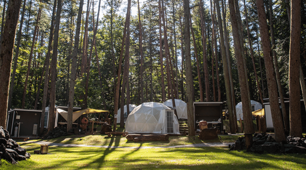動物園」×「グランピング」 都心から車で約1時間、千葉県市原市にある竹林に囲まれたアニマルグランピングリゾート“THE BAMBOO