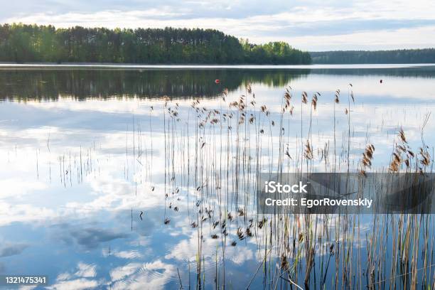 ロシアとその周辺地域の詳細な地形図 : r