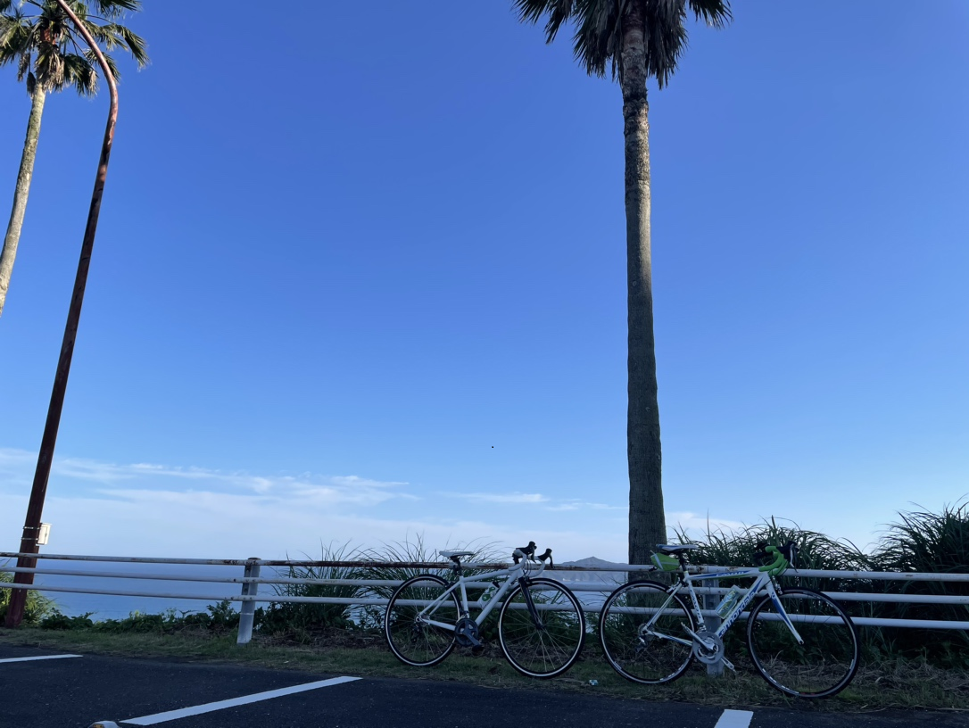 南阿波サンラインの絶景 : 土佐料理