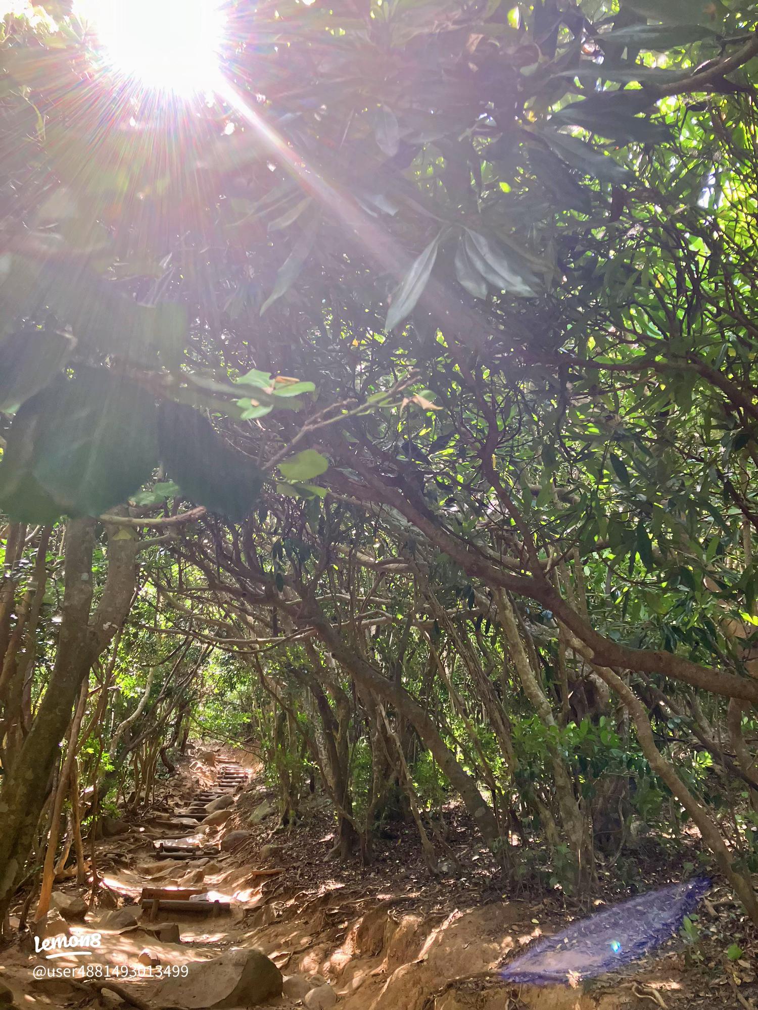 糸島観光大使 - 糸島市