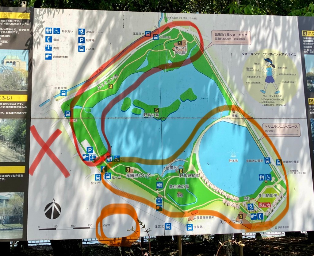 健康づくりの拠点となる公園 伊丹市