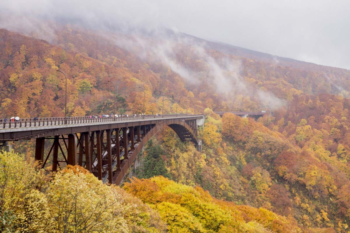 青森。賞楓景點 城ヶ倉大橋 城倉大橋- 滿山滿谷超震撼的紅葉大景、八甲田山賞楓必訪-