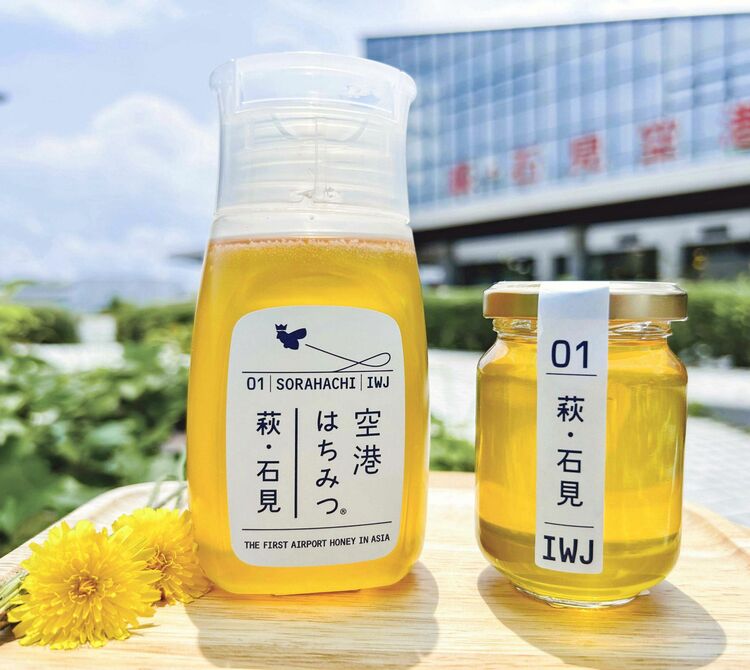 萩・石見空港はちみつラングドシャ