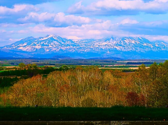 美瑛-5 三愛の丘展望公園 パノラマのみち中央 ☆大雪山～十勝岳連峰＊波状丘陵を眺め』美瑛 びえい北海道