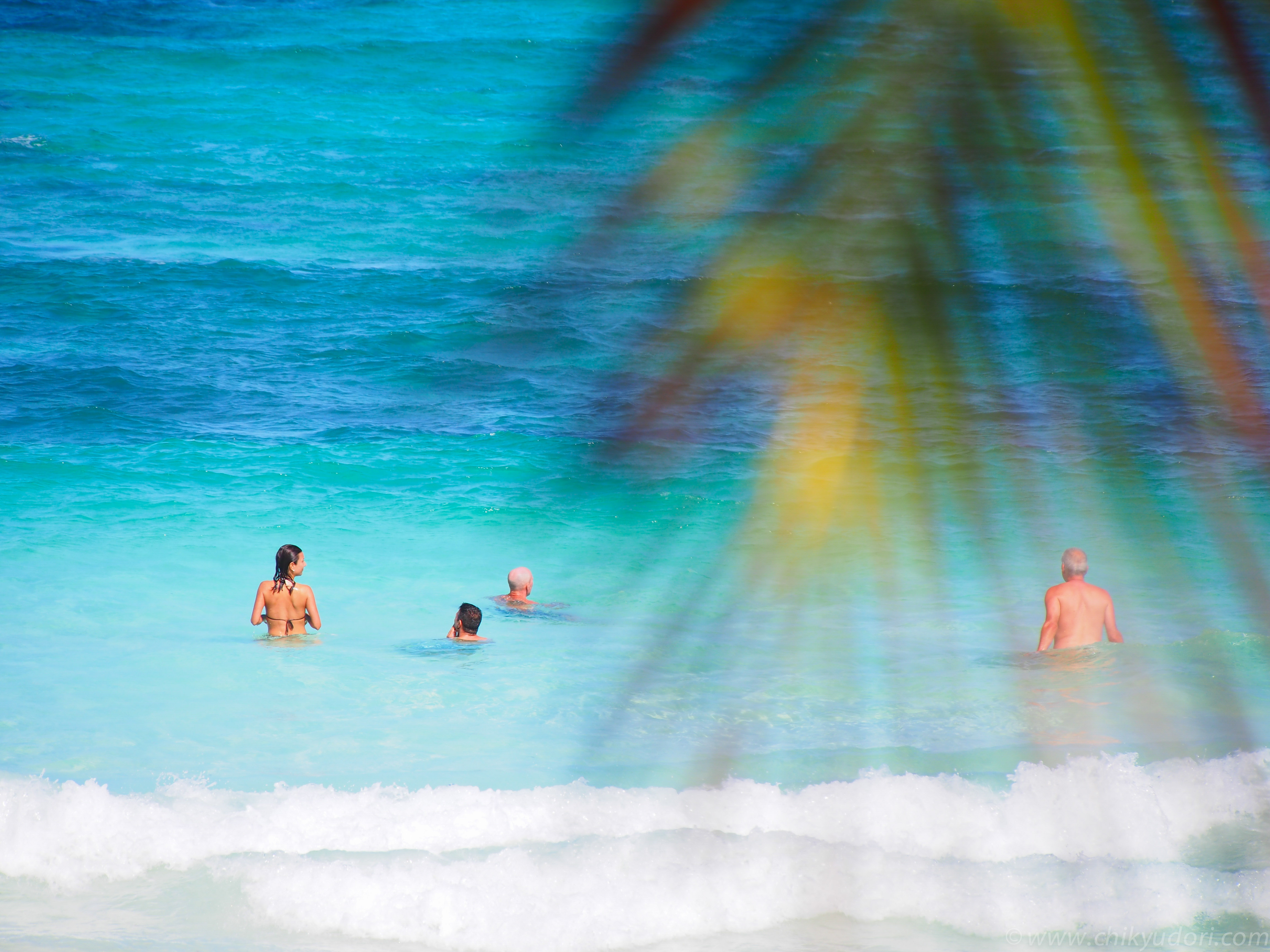 カンクンに次ぐ穴場リゾート☀️プラヤ・デル・カルメン観光＆ホテル情報メキシコ旅行記STW