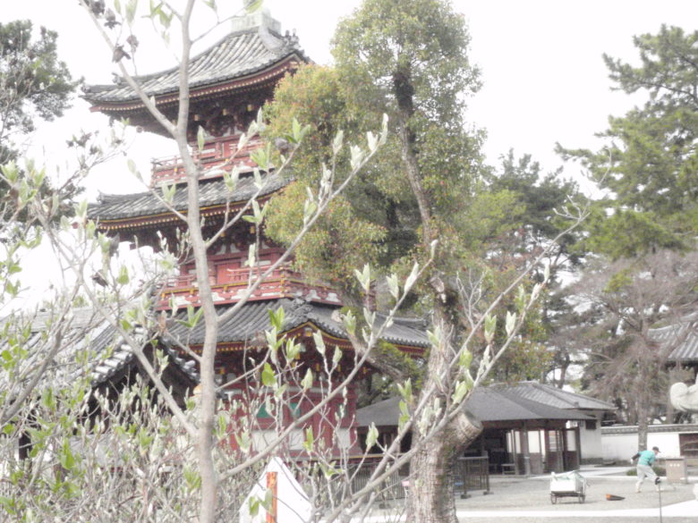 鶴林寺公園 アクセス・営業時間・料金情報 - じゃらんnet