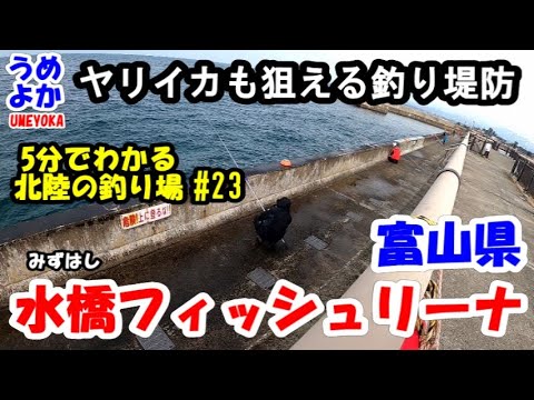 本間釣具店・フィッシャーズ新潟・富山・石川・福井の釣り情報・通販