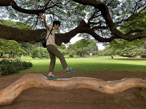 この木なんの木♪のＣＭで有名 モアナルアガーデンの大きな木J-TRIP Smart