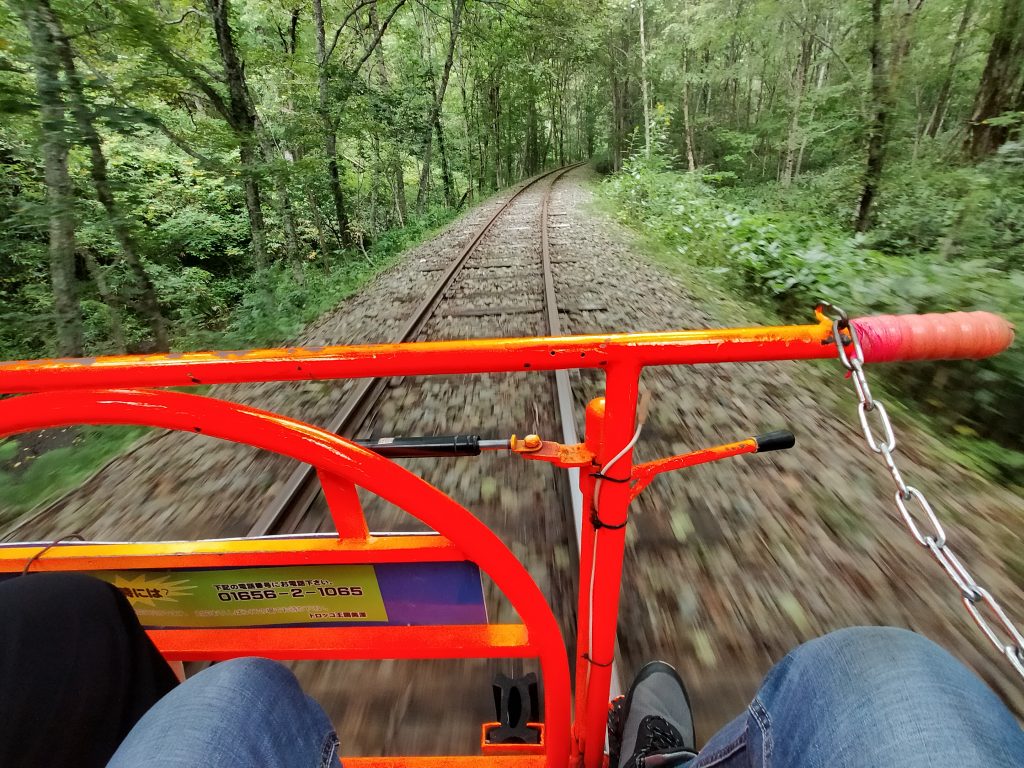 廃線探索写真集-1 歩鉄の達人