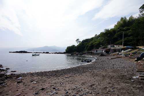 真鶴琴ヶ浜で浮き釣り: 別冊シーガルハウス旬をおいしく、採・獲・摂る！