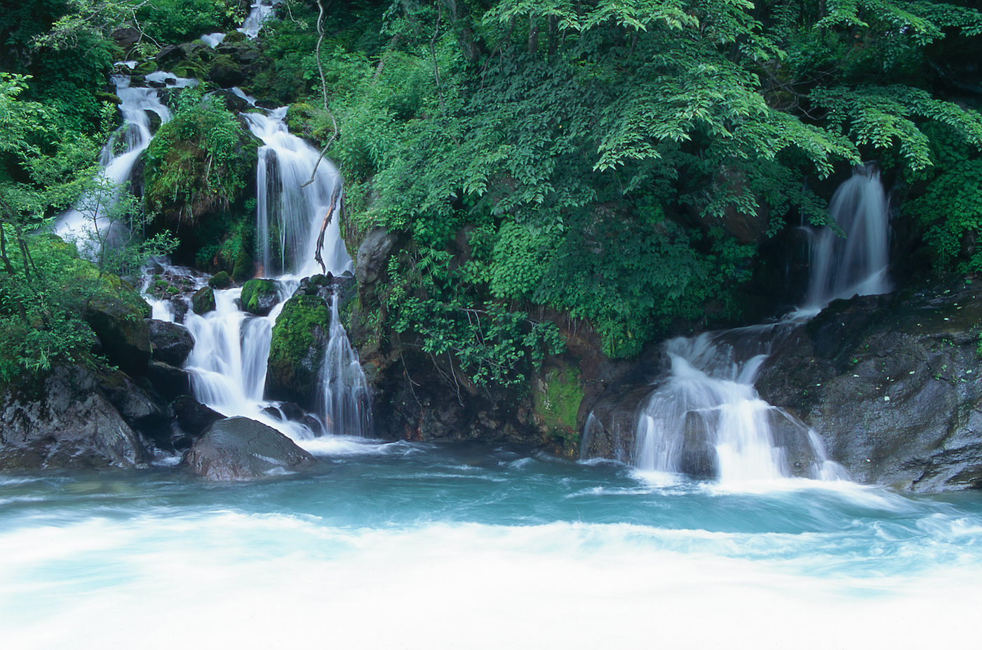 本当は外来魚ばかり！？ 上高地の梓川に生息するサカナの真実とは - 山と溪谷オンライン