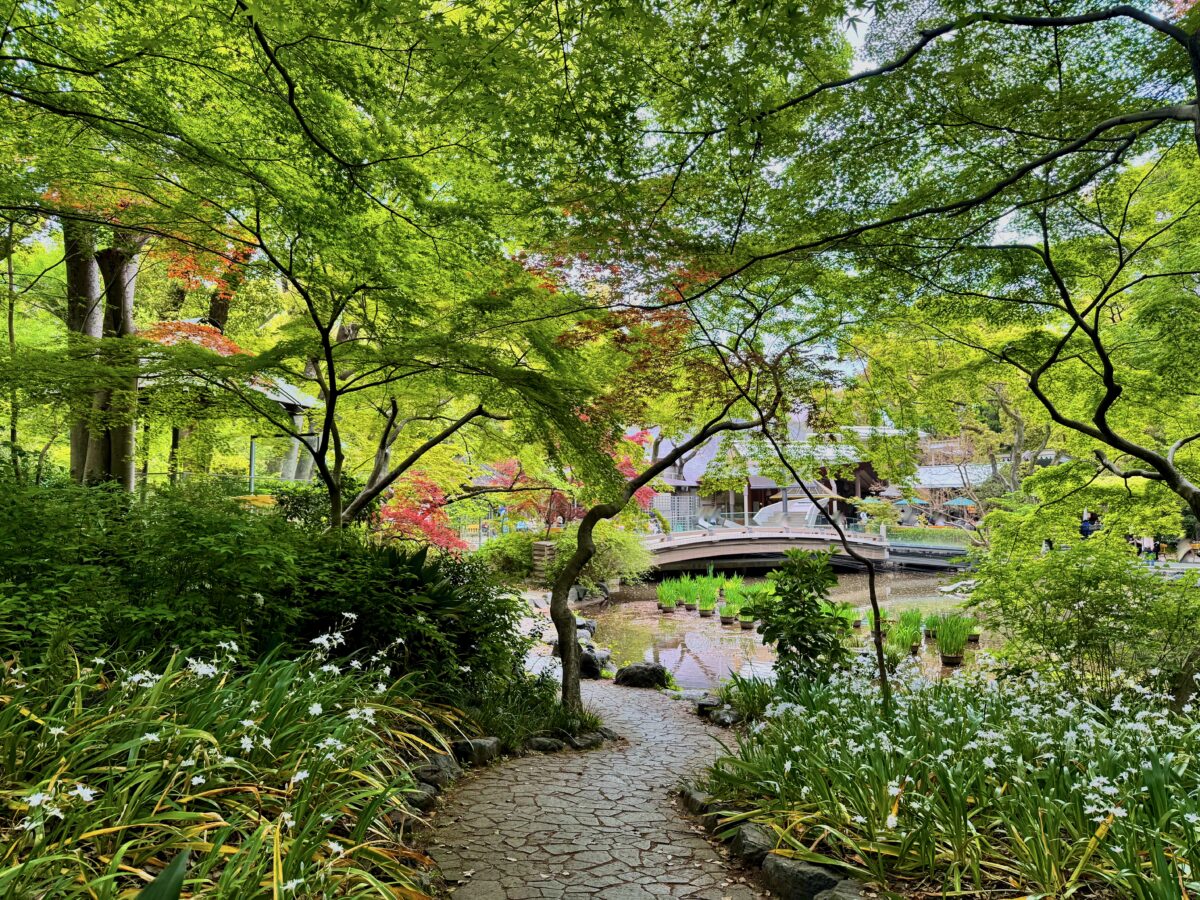 池袋の落ち着く喫茶店『皇琲亭』：ヴィンテージカップで楽しむひととき