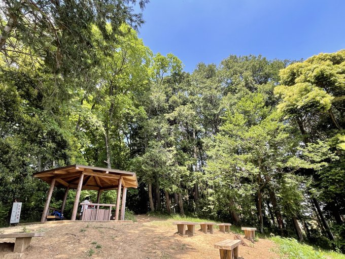 都幾川桜堤の桜 比企郡嵐山町- お花見2025 - ウォーカープラス