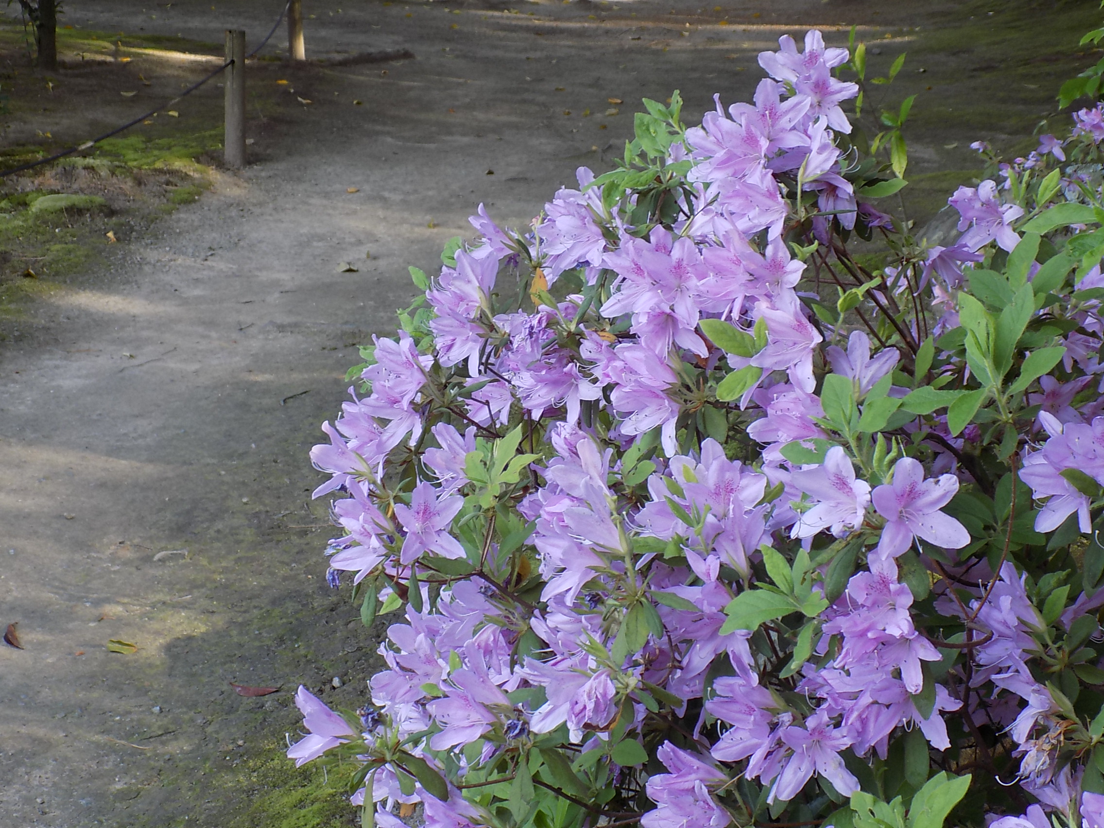 山下公園周辺のおすすめホテル10選 - 格安ホテル予約