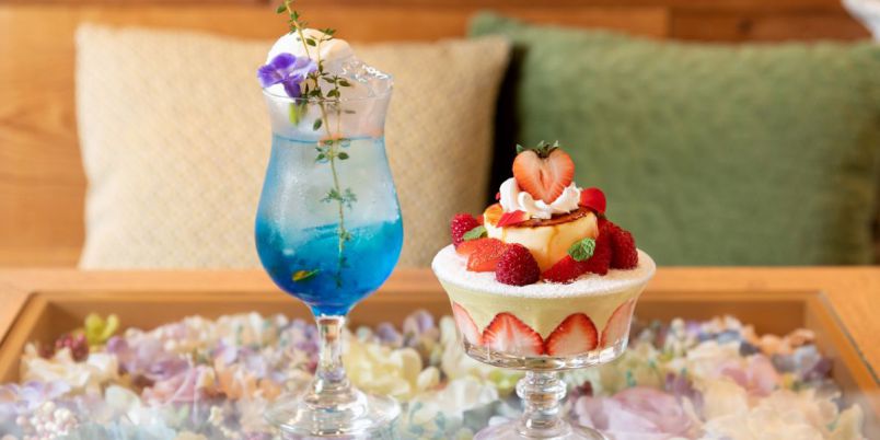 大阪 梅田周辺♡推し活人気もある映えカフェ20選 – Fantage