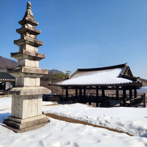 優しい日本人のお客様の特別な韓国旅行、龍仁大長今テーマパーク ツアー~ - 日本語ができるソウルタクシー