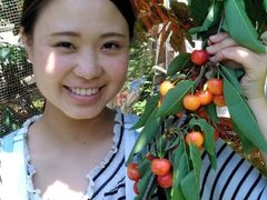 おいしい体験！果物狩り - 長野県高森町