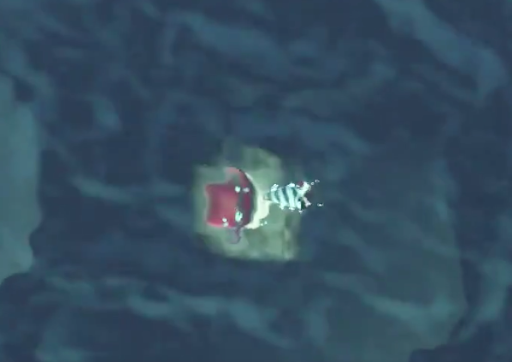 あつ森 ホタテの取り方と見分け方・出現時間 あつまれどうぶつの森- ゲームウィズ