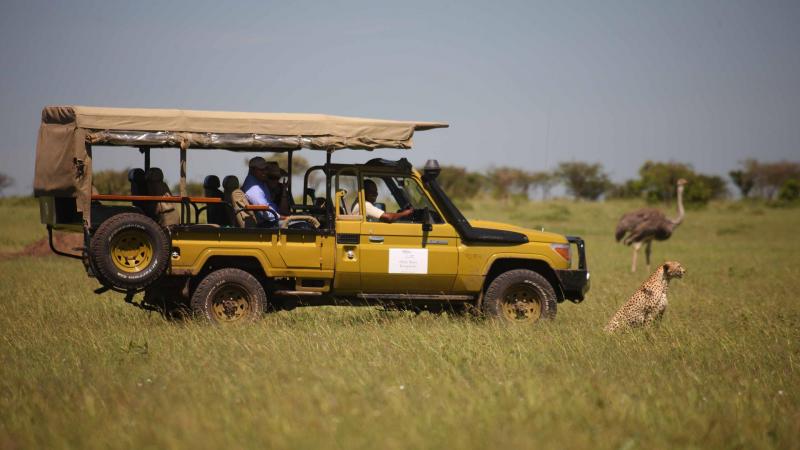 ケニア観光で行ってよかったスポット10選！おすすめサファリから世界遺産まで紹介 - 地球人