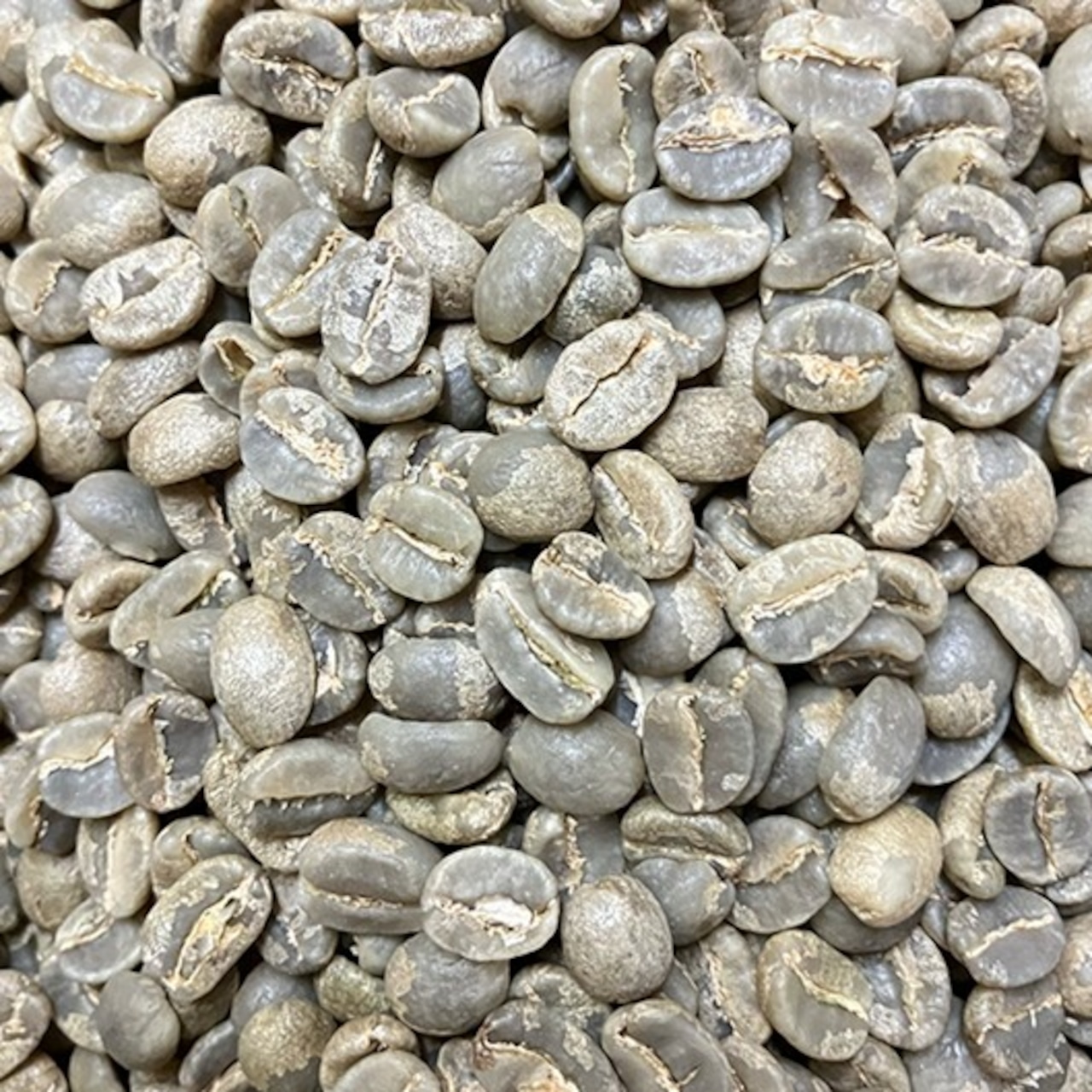 タンザニア ンゴロンゴロ アガワルファミリー ウォッシュ