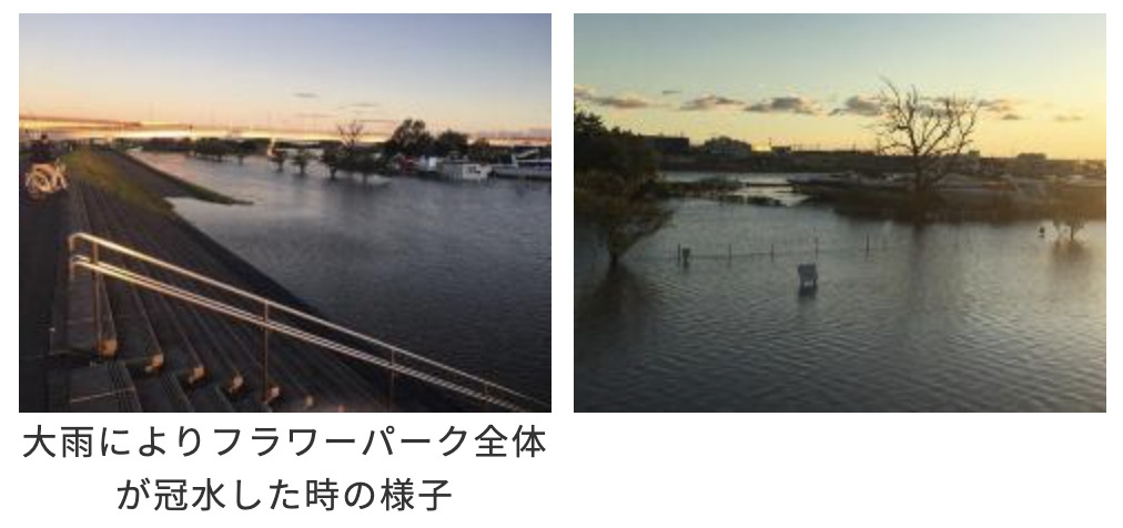 中川やしおフラワーパーク 埼玉県八潮市八潮市にある「中川やしおフラワーパーク」は、約13,000㎡の中川河川敷にある市内でも人気の観光スポット！毎年3月～4月にかけて花桃のピンクと菜の花の黄色がパーク一面を飾り美しいコントラストを生み出します♪ 花桃とは