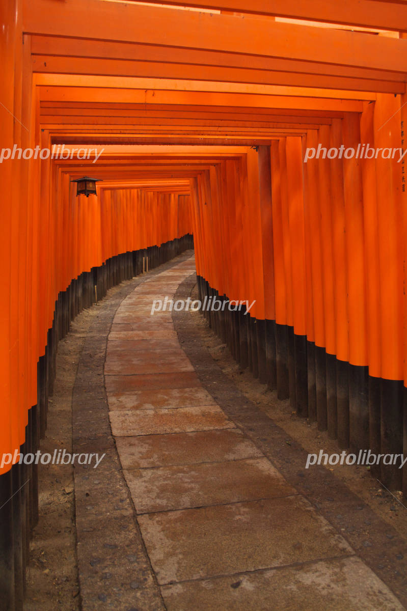 24時間参拝OK！一度は訪れたい伏見稲荷大社の千本鳥居GENIC編集部GENICジェニック