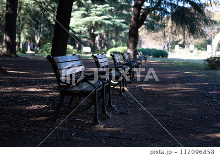 代々木公園ねこまじ、アコギを弾く