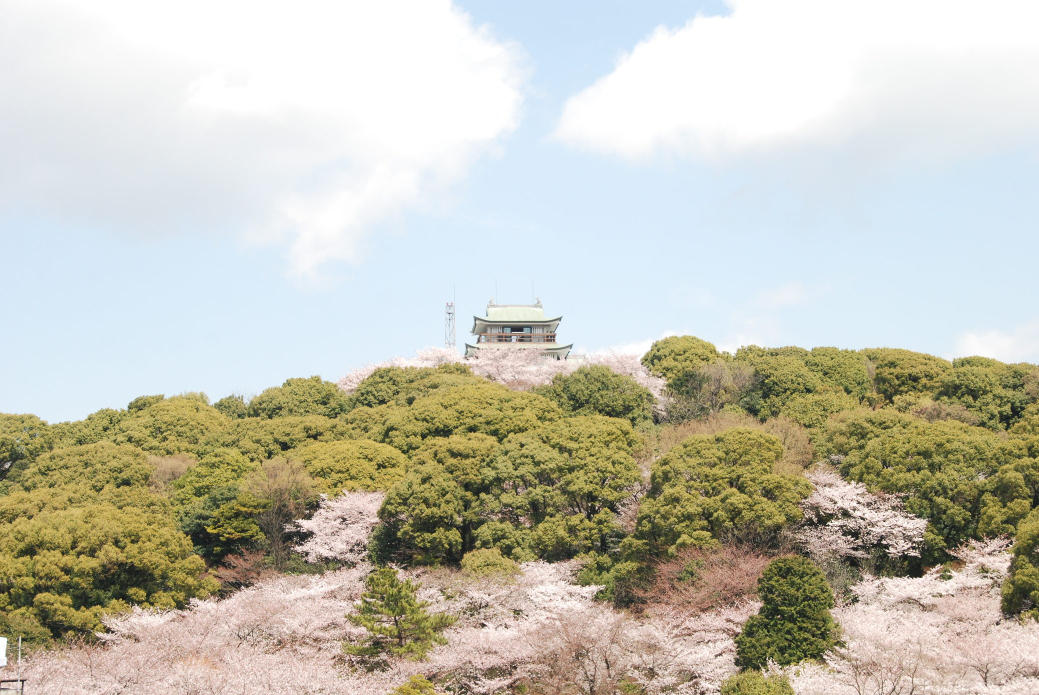 小牧山城 お城観光ガイド 信長が初めてゼロから造った城 - 「天下人の城」〜徳川美術館応援団