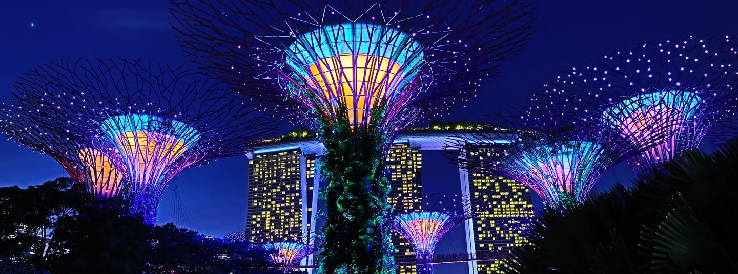 OCBC スカイウェイ：ガーデンズ・バイ・ザ・ベイ –