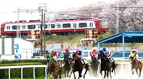 東京競馬場の口コミ一覧子供とお出かけ情報「いこーよ」