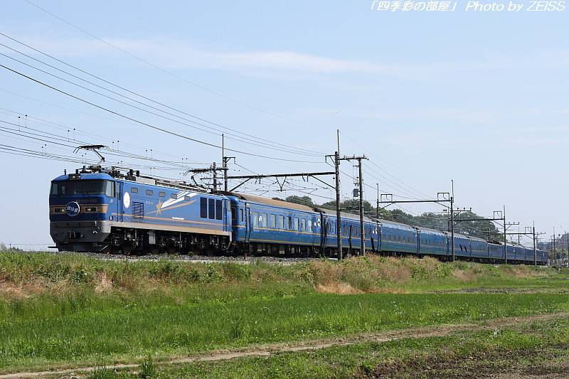 ハマちどり写真帖: ヒガハス in 2002