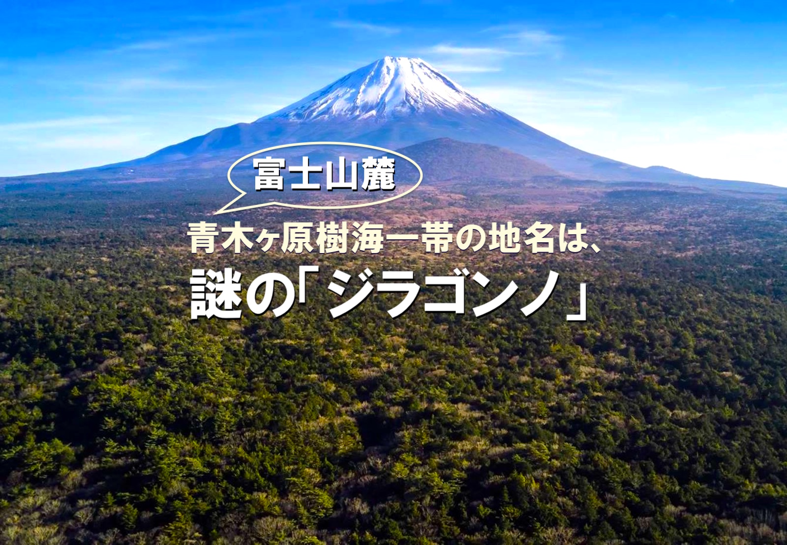 写真撮影 富士山、軽井沢、鎌倉、川越などの遠征も可能Klook