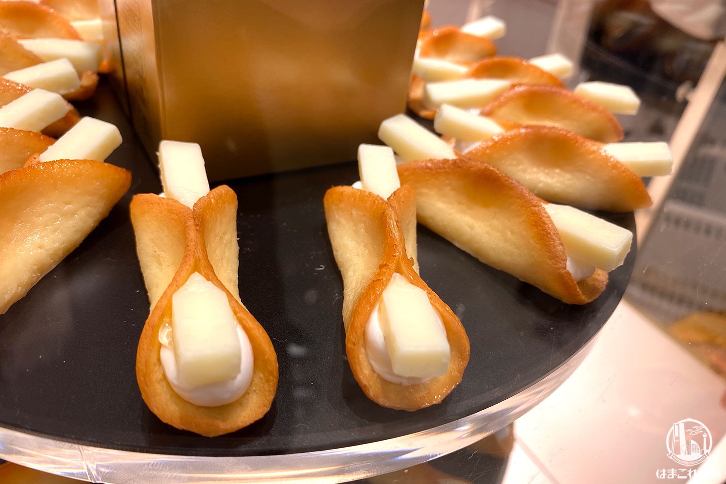 喜ばれる！ 本当におすすめな、ニューヨークのお土産22選 2024ニューヨークノート