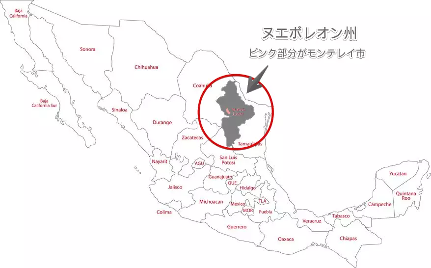 一時帰国の記録① モンテレイ〜成田間の移動 往復