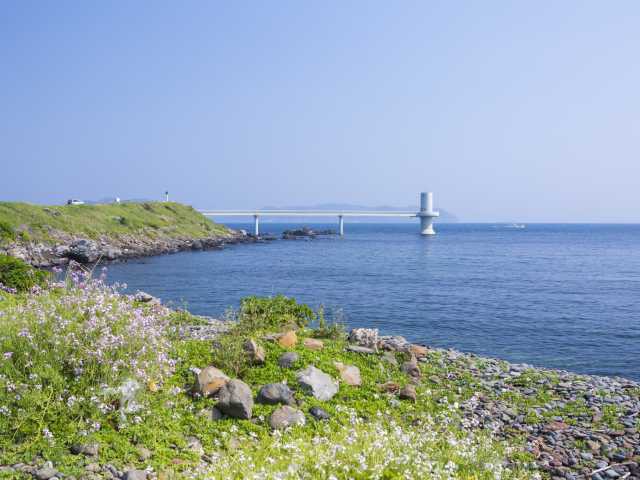 波戸岬海水浴場 25053019578 の写真・イラスト素材アマナイメージズ
