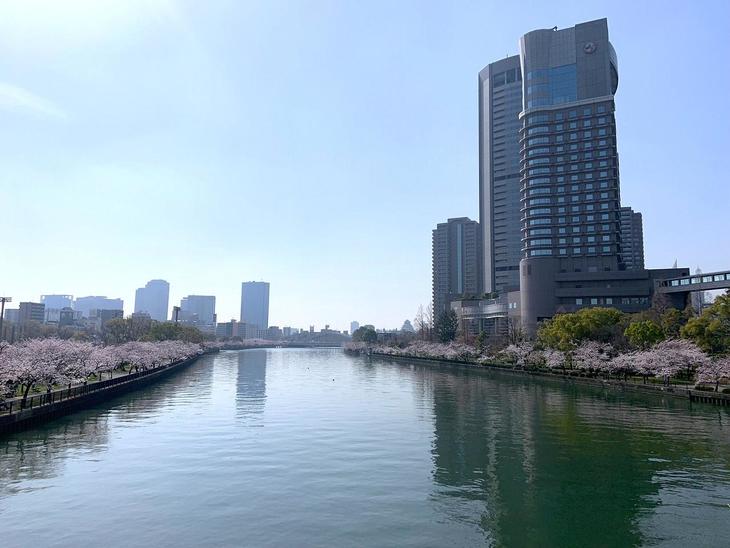 女性に人気 帝国ホテル 大阪のレストラン・食事OZmall