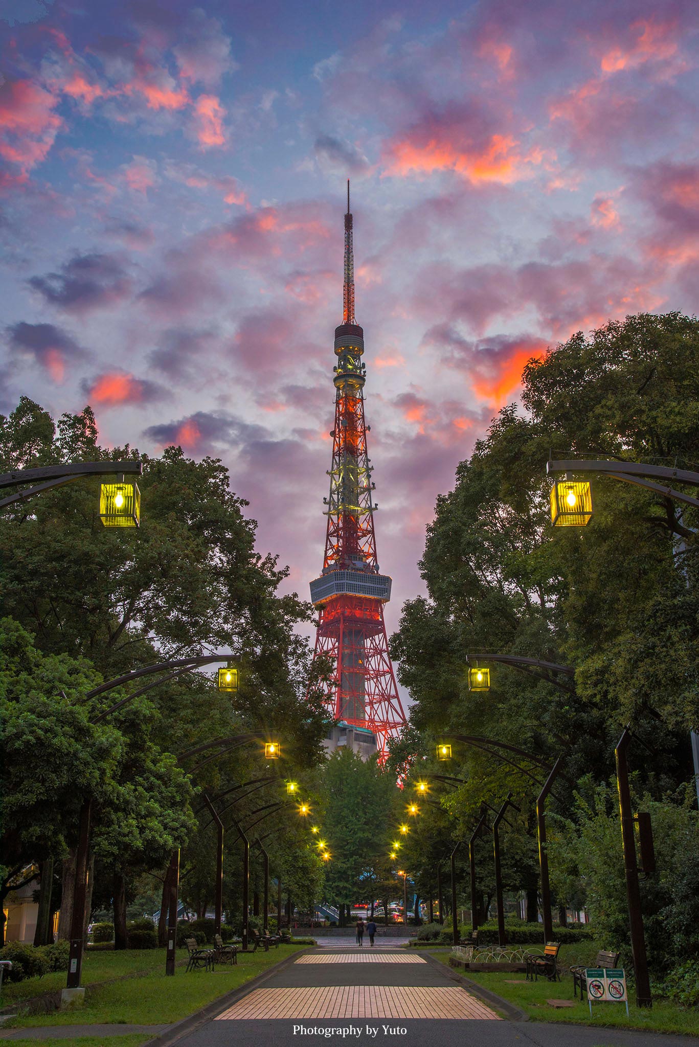 東京タワーが見える芝公園でのピクニックデート