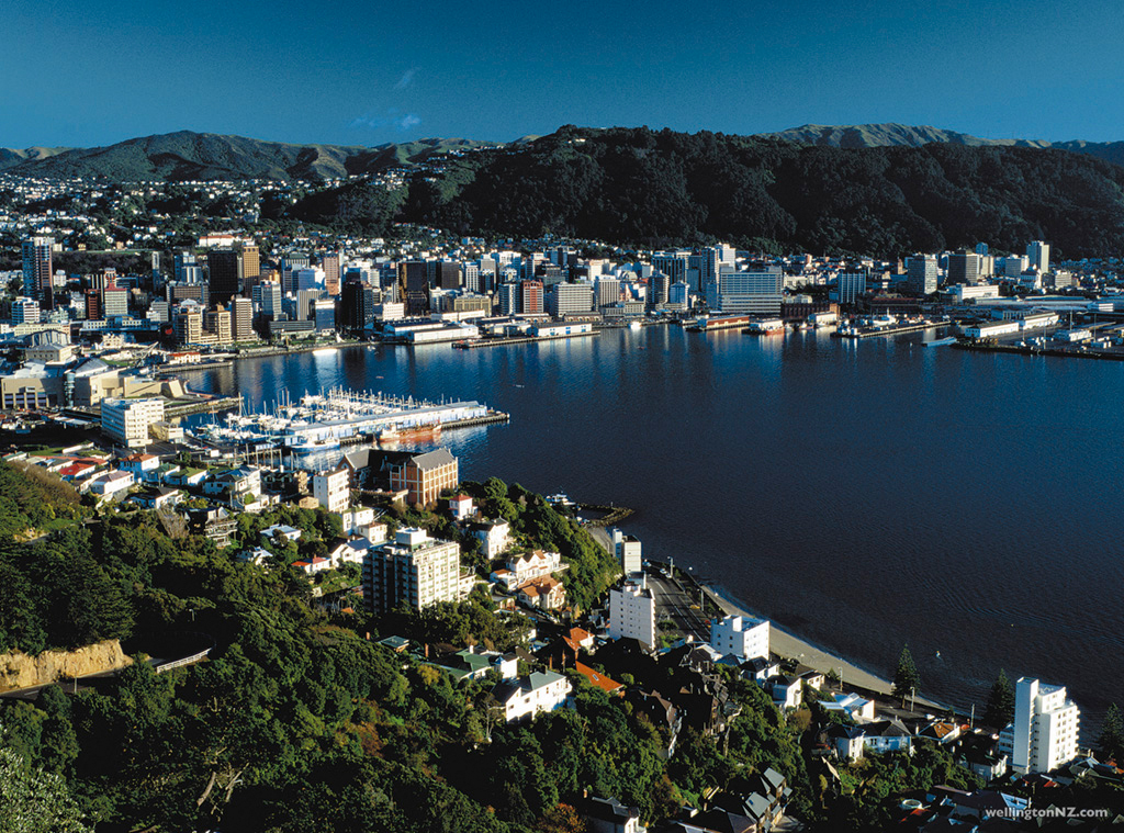 ニュージーランドの首都、ウェリントンでの高校留学 - ARC ニュージーランド留学エージェント