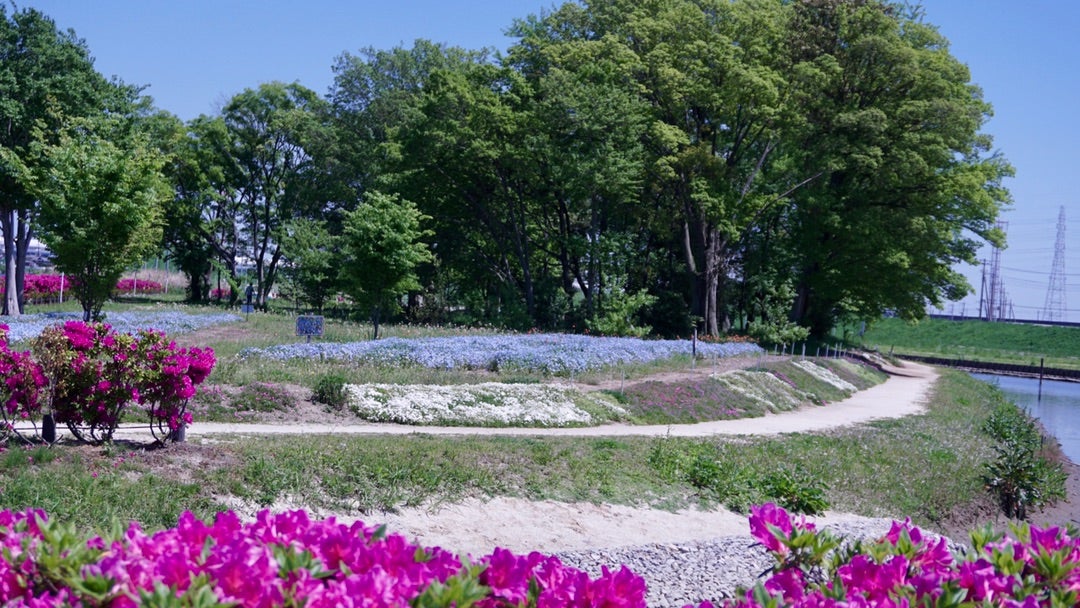 へっぽこキャンプ:中川やしおフラワーパークへ