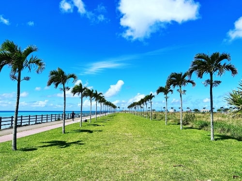 女子旅には欠かせない！ 沖縄南部のインスタ映えスポット9選沖縄観光に役立つおトクな最新情報が満載 Okinawa